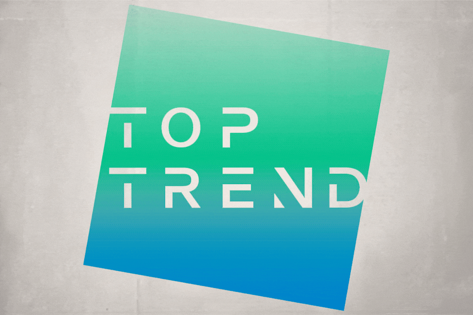 TopTrend:-Construyendo-una-Marca-con-Identidad,-Dinamismo-y-Propósito