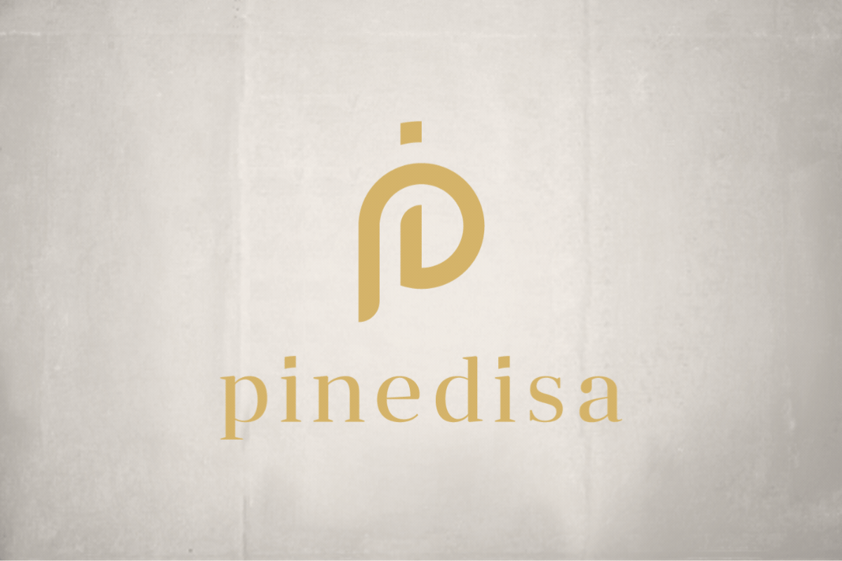 PINEDISA:-Cómo-Creamos-una-Identidad-Corporativa-Elegante-para-una-Sociedad-Holding-con-Dorado,-Negro-y-un-Naming-con-Fuerza